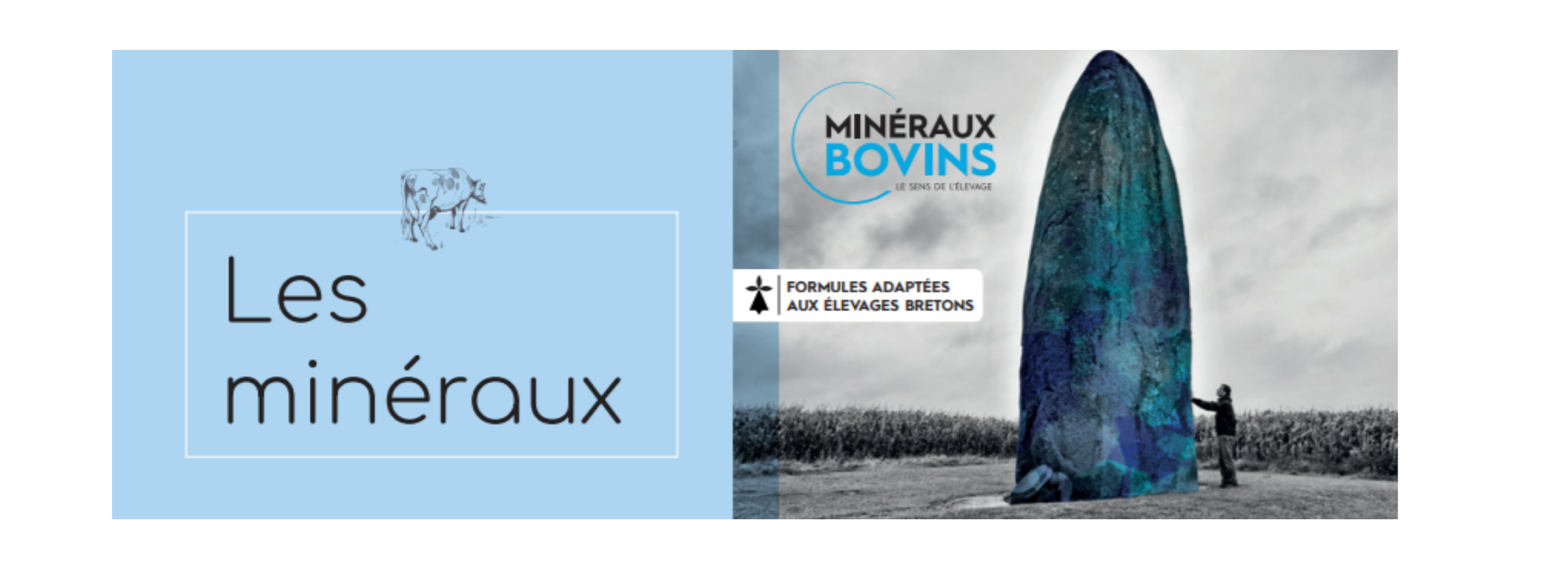 Les minéraux