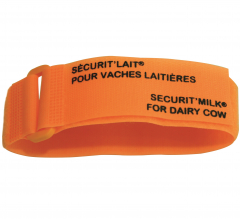 Bracelet Orange Sécurit'lait x6 - Velcro - Soins & Hygiène