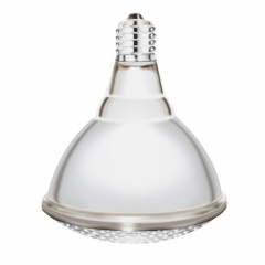 Ampoule IR - 250 W - Blanche - Culot incassable - x 2
