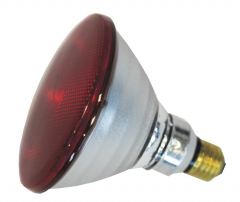 Ampoule infrarouge I PAR - Philips - 175 W - Rouge