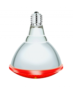 Ampoule infrarouge I PAR - Interheat - 175 W - Rouge - x 2
