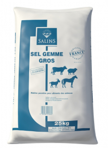 Sel Gemme gros - Sac de 25 kg