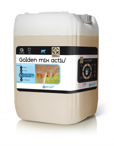 Golden Mix Activator - Fût de 62 kg