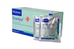 Réhydratant Enerlyte Plus - Sachet de 100 gr