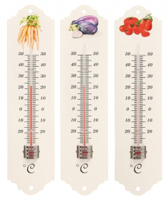 THERMOMÈTRE POTAGER 20 CM - SPEAR & JACKSON