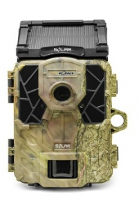 Caméra de chasse cellulaire - Link Evo