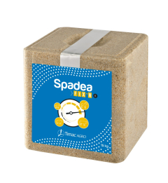 Spadea fix'n - Bloc de 15 kg