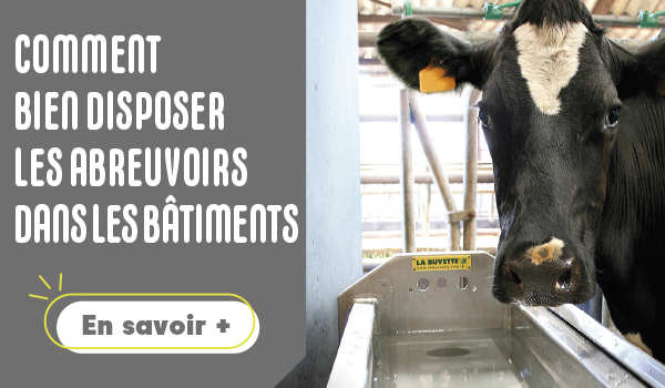 Comment bien disposer les abreuvoirs dans les bâtiments