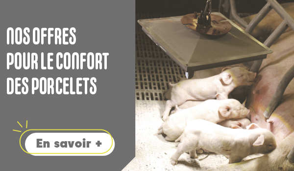 Offre chauffage des porcelets