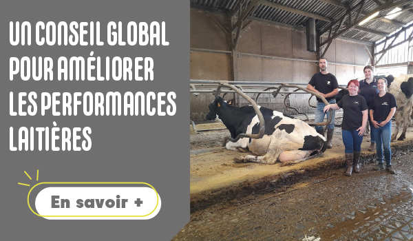 Un conseil global pour améliorer les performances laitières